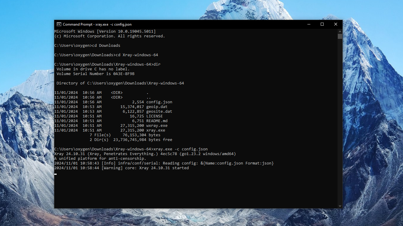 Command prompt window running xray